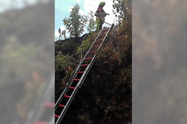 Bschungsbrand bei Gottenheim