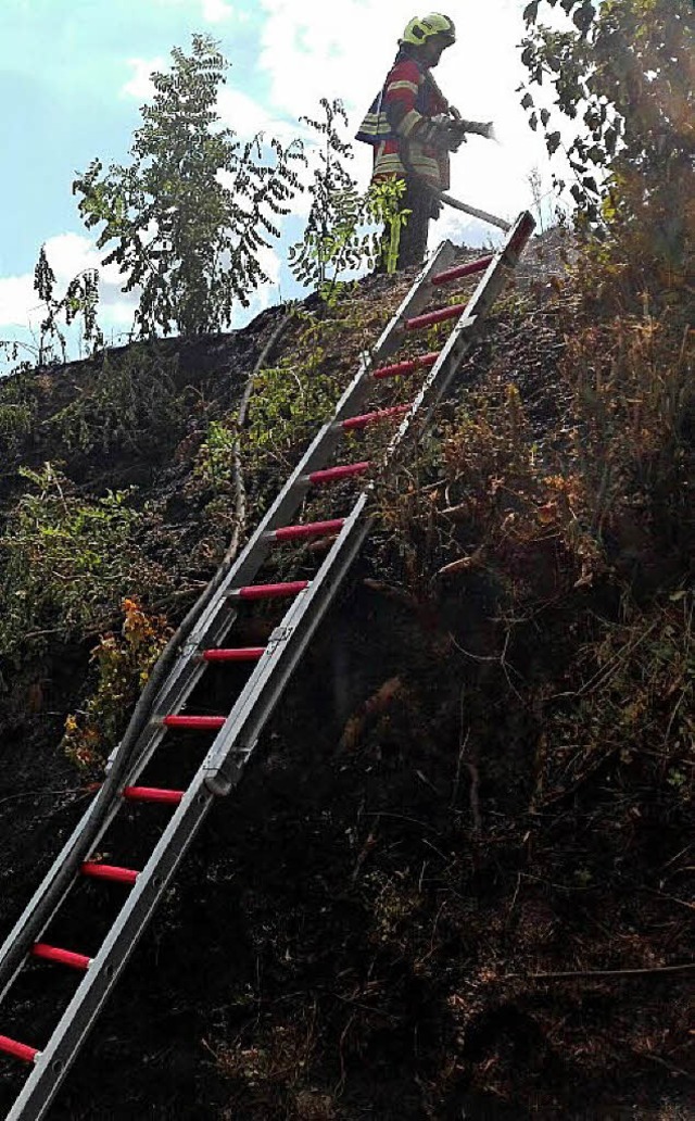   | Foto: Feuerwehr