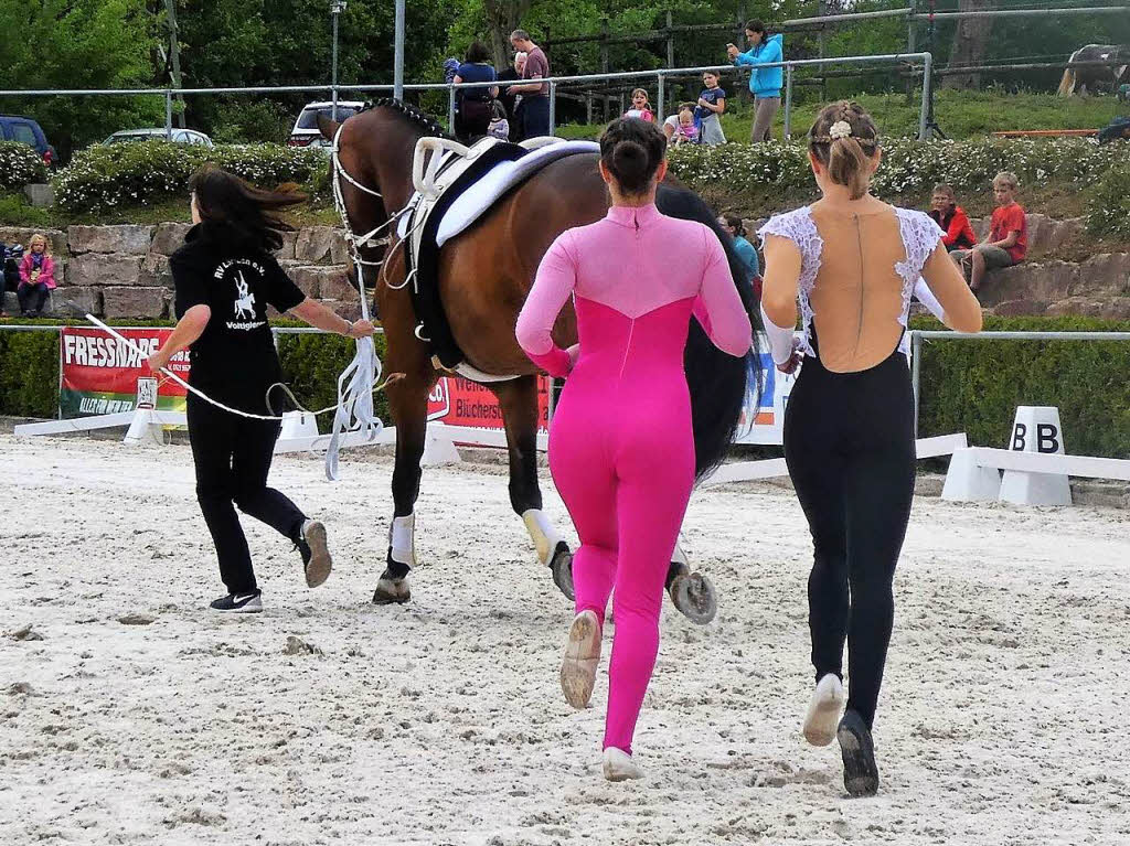 Dagmar Hitzfeld: Mein Lieblingssport (als Zuschauer  ist das Voltigieren, also Turnbungen auf dem galoppierenden Pferd. Das Bild entstand vor Beginn einer Vorfhrung der Einzelvoltigierer Annika  und Cleo am Tag des Pferdes 2018 in Lrrach.