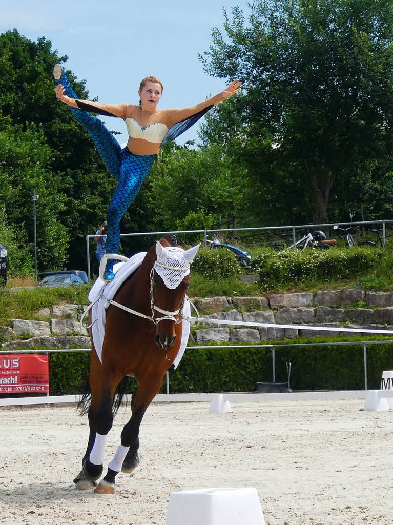 Dagmar Hitzfeld: Mein Lieblingssport (als Zuschauer) ist das Voltigieren, nmlich Turnen auf dem galoppierenden Pferd. Das Bild zeigt meine Tochter Annika bei einer Vorfhrung am Reitturnier im Juli 2018 in Lrrach auf dem Pferd Hinnerk.