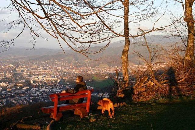 Vom Schönbergplateau bietet sich ein schöner Blick auf Freiburg