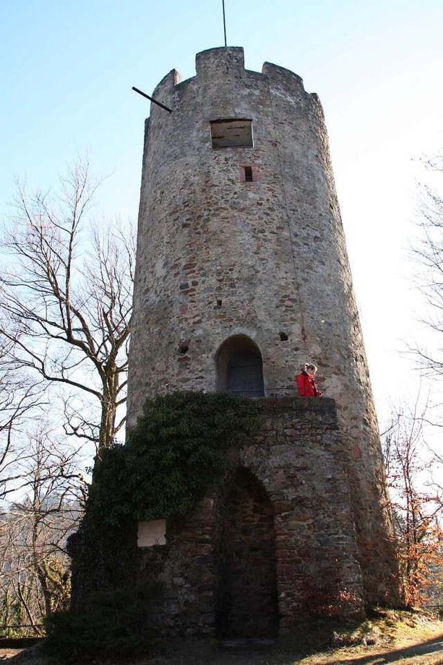 Von Freiburg-Herdern aus gibt es eine ...r Burg auf der Gemarkung Gundelfingen.  | Foto: Silvia Faller