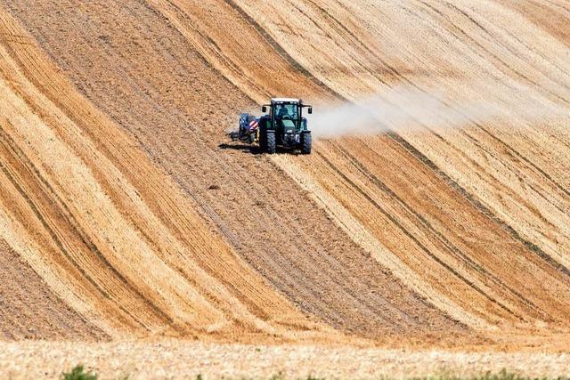 Acht Bundeslnder melden Drre-Schden in Milliardenhhe