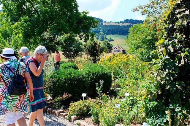 Fotos: Kruter- und Bauernmarkt in Oberried