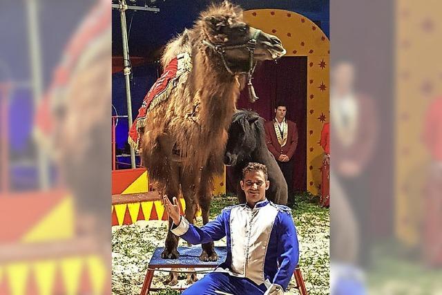 Zirkus gastiert in Mnchingen