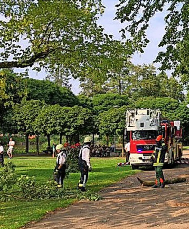 Baumbruch am Stadtrainsee: Es blieb bei einem Einsatz der Feuerwehr.   | Foto: FW Waldkirch