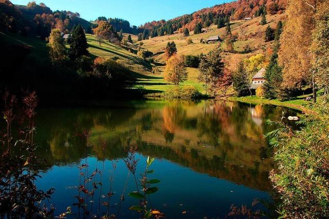 Sonniger Herbst am Dobelsee