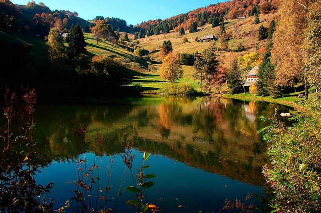 Der Dobelsee.  | Foto: Markus Donner