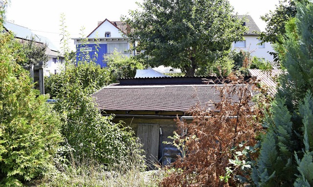 Wo fngt das Grne an und hrt die Beb...liche Grnflche Mrzengrten hinein.   | Foto: Robert Bergmann