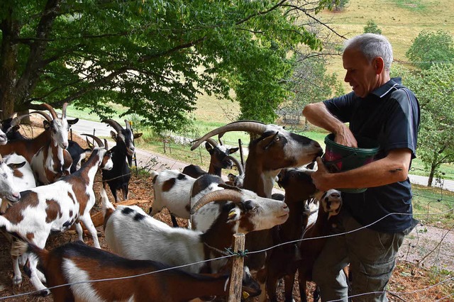 Teilzeit-Landwirt Fritz Moser aus dem ...her&#8220; helfen der Artenvielfalt .  | Foto: Jrgen Dettling