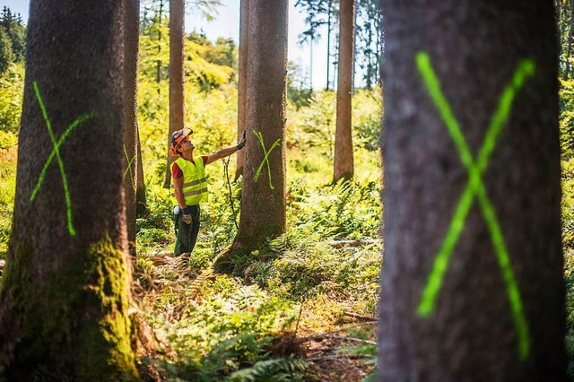 Ioann Popescu, Waldarbeiter bei den Ba... wie mglich aus dem Wald zu schaffen.  | Foto: dpa