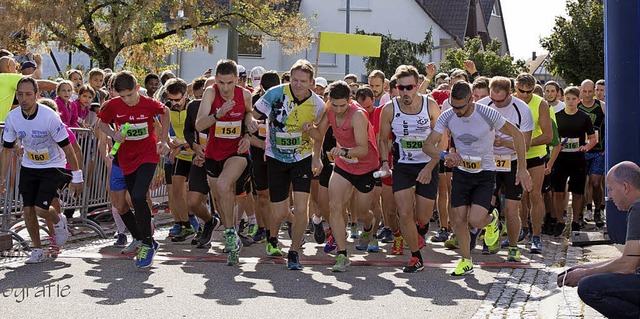 Im vergangenen Jahr waren rund 380 Lufer am Start.   | Foto: Michael Beiser