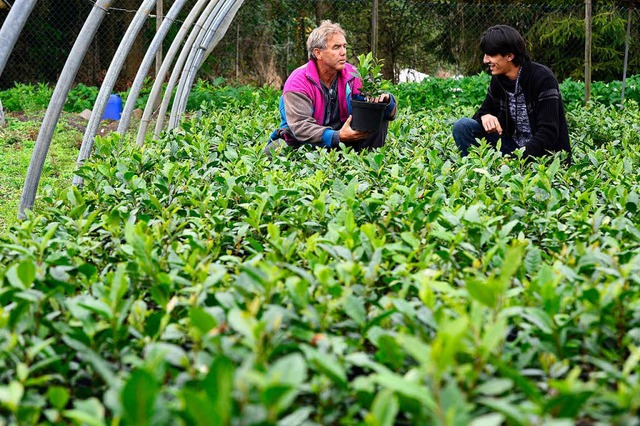 Landwirt Erwin Wagner und Ahmed Ahmed ...zen bei Grtner Hanser in Opfingen an.  | Foto: Ingo Schneider