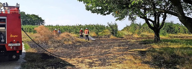 Der Flchenbrand am Lufelberg war nach 45 Minuten gelscht.   | Foto: Feuerwehr Efringen-Kirchen