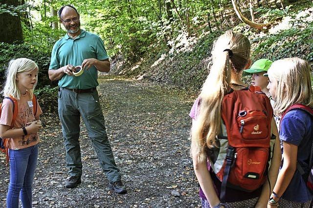 Ab in den Wald