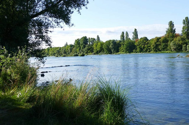 So idyllisch knnte das Rheinufer sein...wieder nackt und aufdringliche Mnner.  | Foto: Victoria Langelott