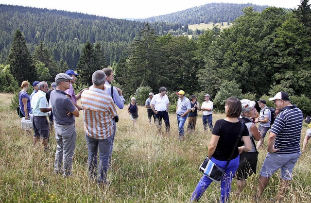Die Exkursionsgruppe auf dem  Weidberg in Ibach.  | Foto: Naturpark Sdschwarzwald