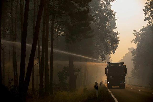Hunderte Feuerwehrmnner kmpfen gegen Waldbrand in Brandenburg