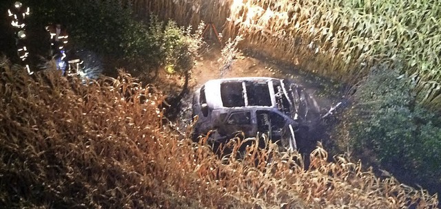 Das Auto krachte gegen einen Baum - und brannte vllig aus.  | Foto: Feuerwehr Endingen