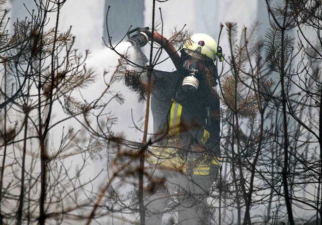 Ein Feuerwehrmann bekmpft einen Waldbrand bei Beelitz in Brandenburg.  | Foto: dpa