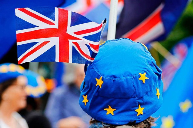 Eine Pro-EU-Demonstrantin vor dem Parlament in London   | Foto: afp