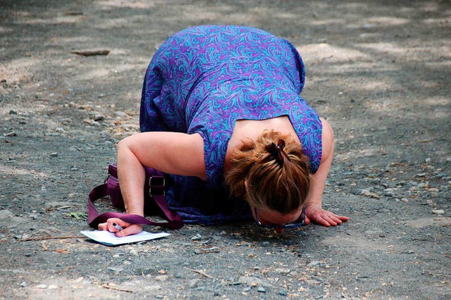 Konzentriert schnuppert diese &#8222;R...n am Boden im New Yorker Central Park.  | Foto: Christina Horsten