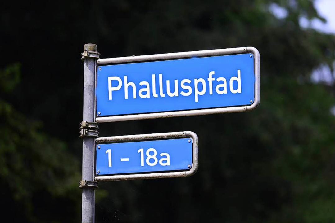 So könnte das Straßenschild des Phallu... Bild handelt es sich um eine Montage.  | Foto: Ingo Schneider/ Montage Fudder