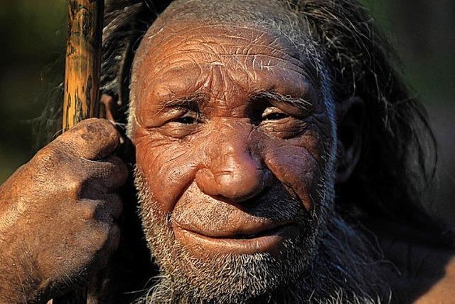Neandertaler litten wohl unter Klteperioden