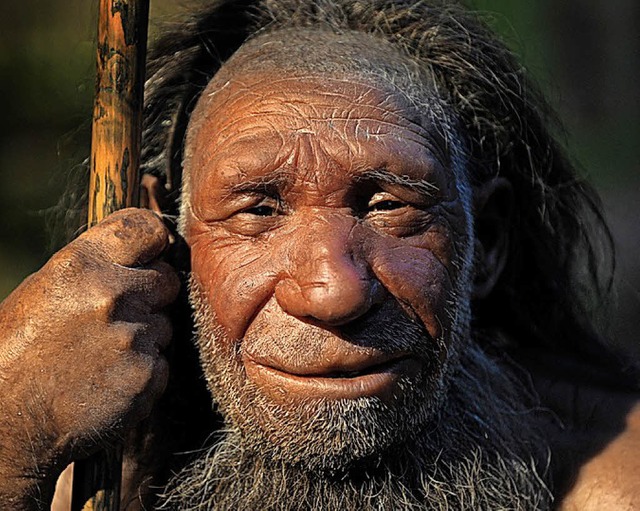 Nachbildung eines Neandertalers im Museum von Mettmann.   | Foto: dpa