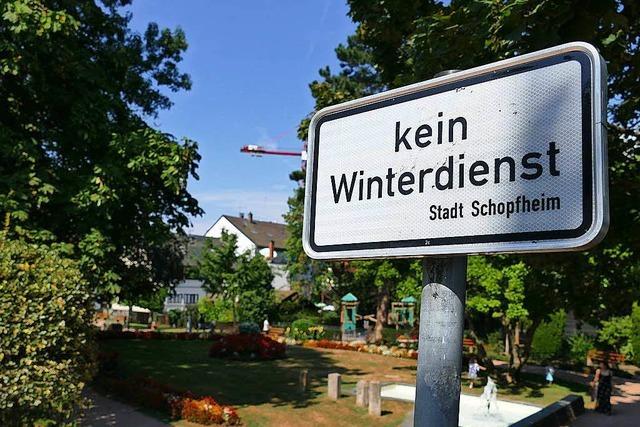 Mit Aktionen soll das Klima im Schopfheimer Stadtpark verbessert werden