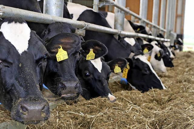 Bauern mssen sich den Wetterextremen stellen