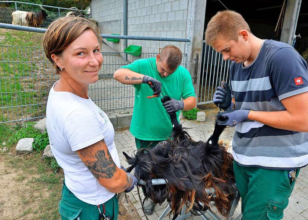 Regine Kster, Andreas Kleint und Kai ... (von links) mit einer Walliser Ziege.  | Foto: Michael Bamberger