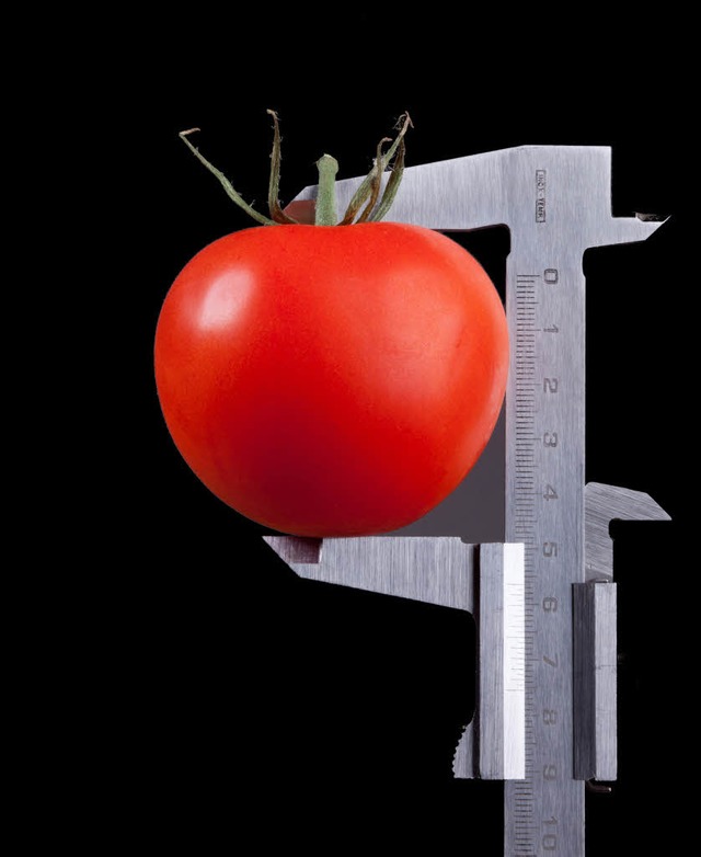 Fr Tomaten gibt es zum Glck bislang noch keine DIN-Norm.  | Foto: Photographer: Ruediger Rau