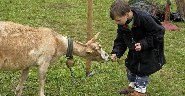 Wie beim ersten Biosphrenfest im verg...egenheit geben, Ziegen zu streicheln.   | Foto: Archivbild: sub
