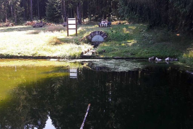 An dieser Stelle auf dem Geisberg trit...ie Quelle liegt weiter hinten im Wald.  | Foto: Christian  Kramberg 
