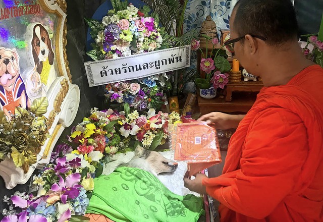 Ein  buddhistischer Mnch hlt in eine...monie fr einen verstorbenen Hund ab.   | Foto: dpa