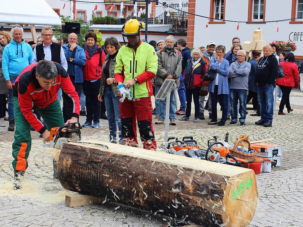 Viel zu sehen und zu erleben gab es in den letzten Tagen in St. Blasien rund um’s Holzbildhauersymposium