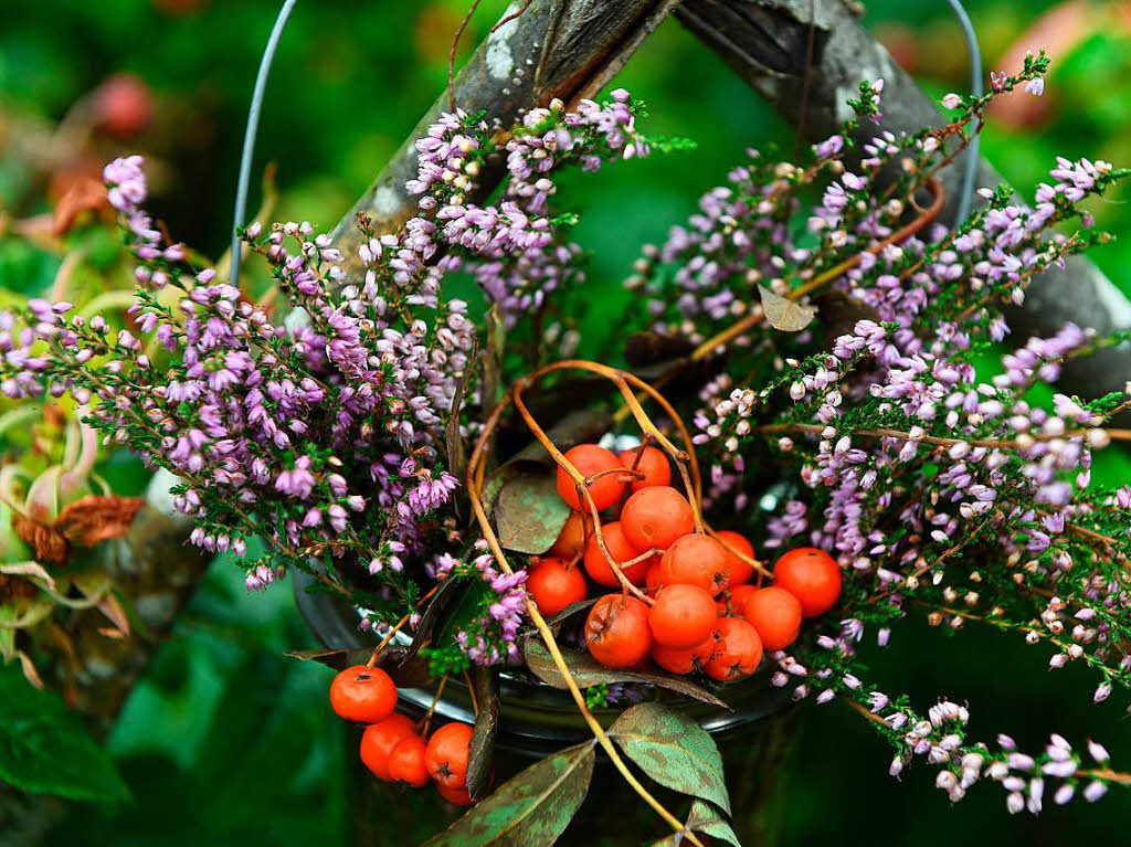 Inspirationen fr Gartenfreunde