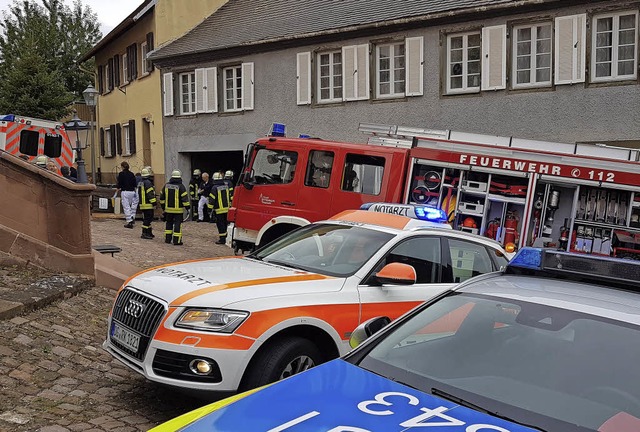 Die Feuerwehr musste am Montagvormitta...n Auto in einer Garage verkeilt hatte.  | Foto: Karl Kovacs