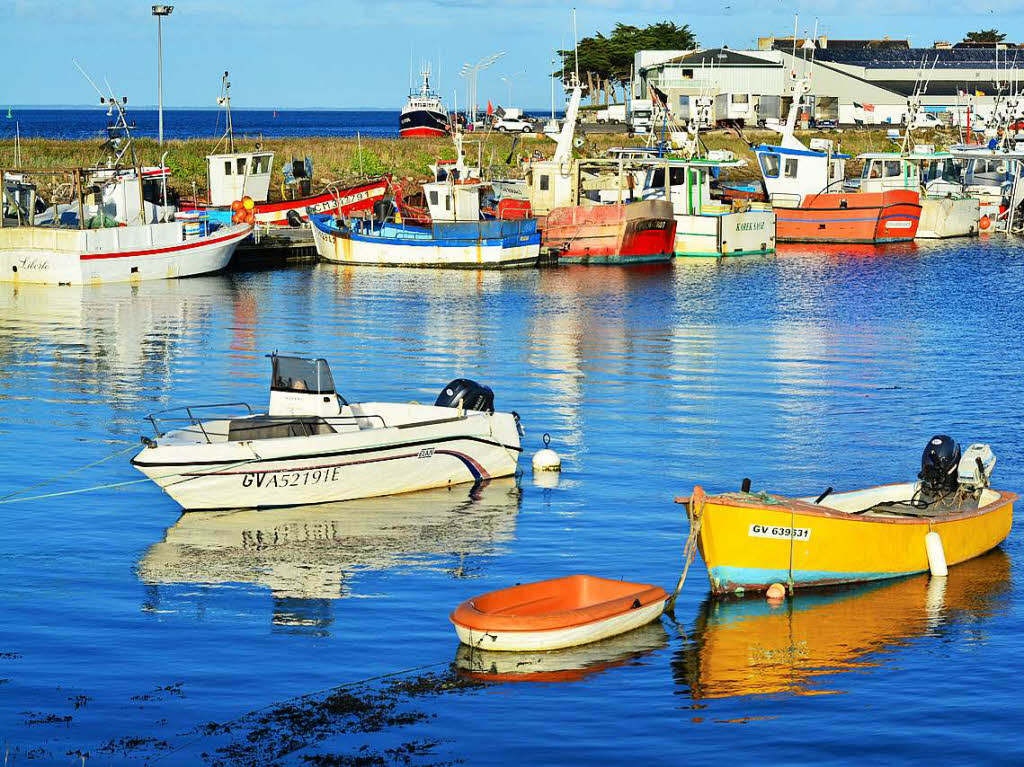 Ob Austern oder Makrelen, die Fischerei ist in der Bretagne ein wichtiger Wirtschaftszweig. So auch in Loctudy wo Klaus Foler aus Mahlberg Urlaub machte. 