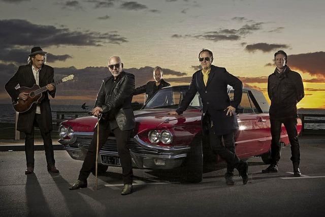 Kultband The Black Sorrows im Spitalkeller Offenburg