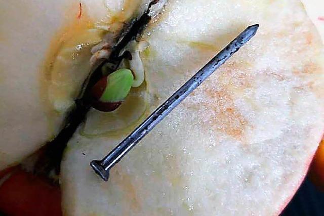 Stahlnagel in Discounter-Apfel gefunden – Veterinramt ermittelt