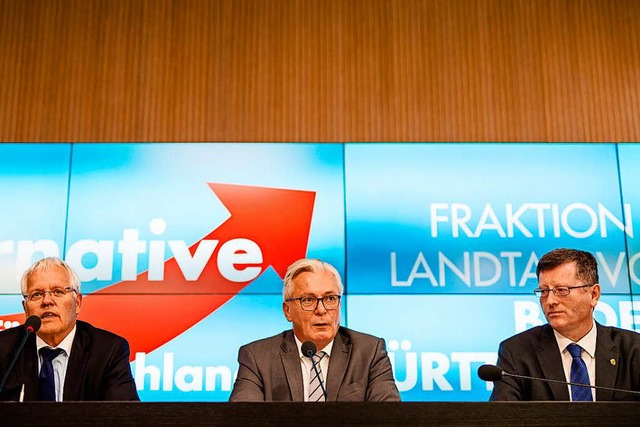 Emil Snze (v. links n. rechts), AfD-A...-Abgeordneten, bei der Pressekonferenz  | Foto: dpa