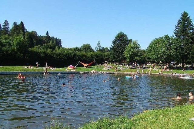 Naturfreibad am Pfisterwald