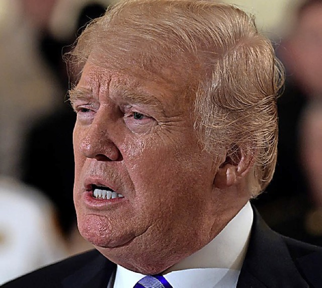 Donald Trump   | Foto: DPA