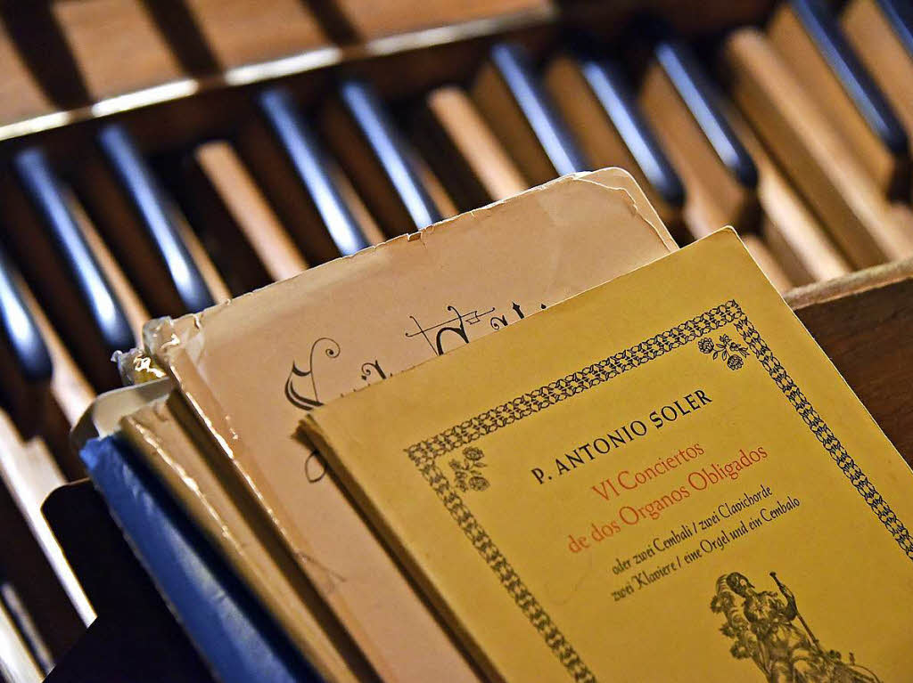 Organist Bernhard Marx stellte die eindrucksvolle Metzler-Orgel in der Johanniskirche vor.