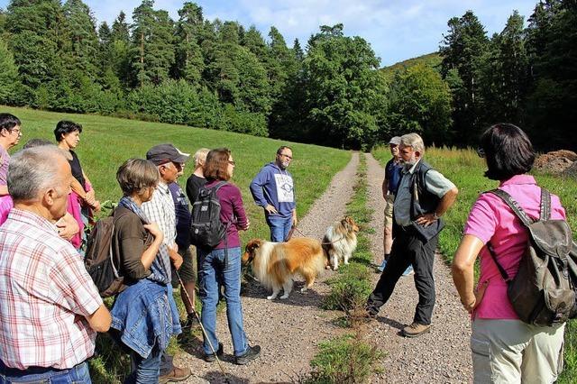 Der Wald hat sich positiv verndert