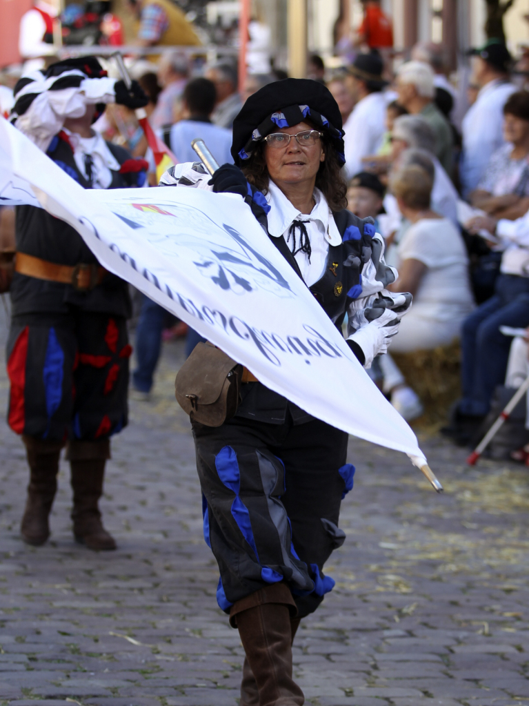 Landesverband der Fahnenschwinger in Baden-Wrttemberg