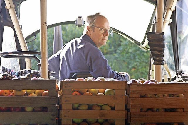 Saft aus sonnenverwhnten pfeln