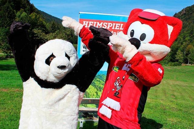 SC Freiburg unterstützt einen Wildniserlebnispfad im Schwarzwald
